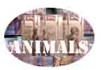 animals,free video art video art