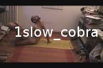 1slow_cobra